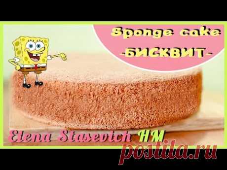 Идеальный БИСКВИТ || Sponge cake || Elena Stasevich HM