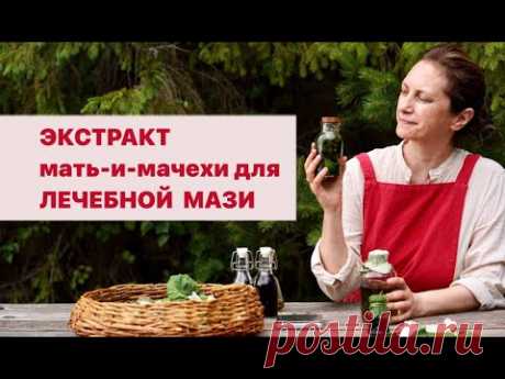 🌼Готовим концентрированный экстракт из мать-и-мачехи для мази. Ярко-зеленый. Особенный способ.