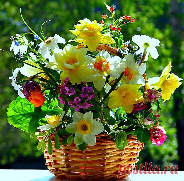 КАКОЙ СЕГОДНЯ ПРАЗДНИК? 14 Июля 2018 г. – Суббота • Праздник стельки • День придумывания 27 слов на букву О • День взятия Бастилии - Франция229 лет • Национальный день нудистов - США • Национальный день ликёра «Grand Marnier» - США • День миротворца - Южная Осетия • Праздник моря - Латвия • День республики - Ирак • Именины у Ангелины, Дамиана, Аркадия, Петра, Алексея, Павла • Летние Кузьминки