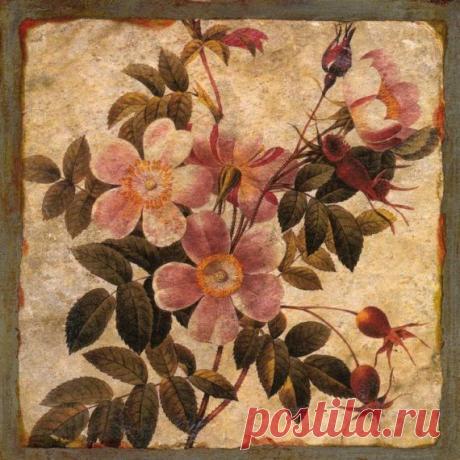 делюсь / Картинки для декупажа / PassionForum - мастер-классы по рукоделию