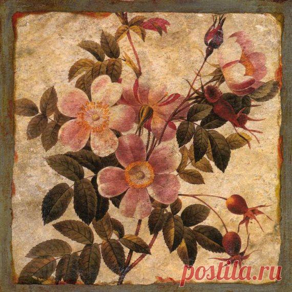 делюсь / Картинки для декупажа / PassionForum - мастер-классы по рукоделию