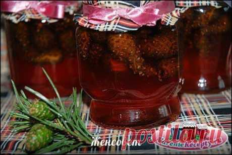 Варенье из еловых шишек
