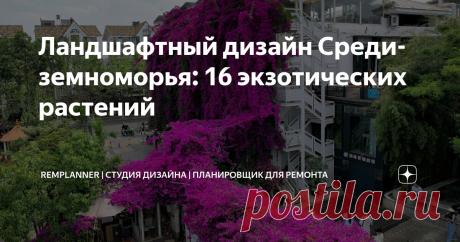 Ландшафтный дизайн Средиземноморья: 16 экзотических растений Статья автора «REMPLANNER | СТУДИЯ ДИЗАЙНА | ПЛАНИРОВЩИК ДЛЯ РЕМОНТА» в Дзене ✍: Самые красивые цветы в садах Италии, Испании, Турции, Франции и Греции!