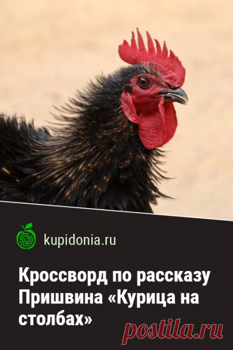 Кроссворд по рассказу Пришвина «Курица на столбах». Проверочный кроссворд онлайн по литературе по рассказу Пришвина «Курица на столбах». Русская литература, школьная программа. Проверь свои знания, разгадав кроссворд на сайте.