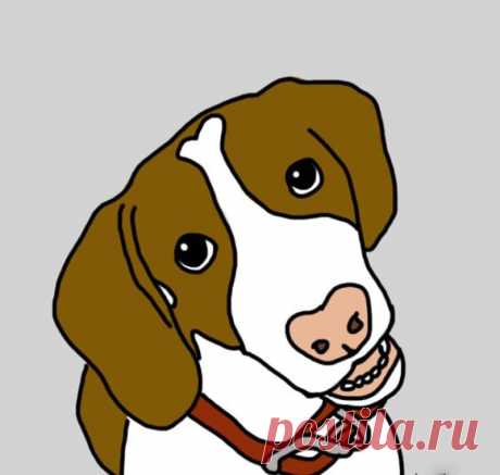 Если ваша собака ведет себя так, это может означать только одно!