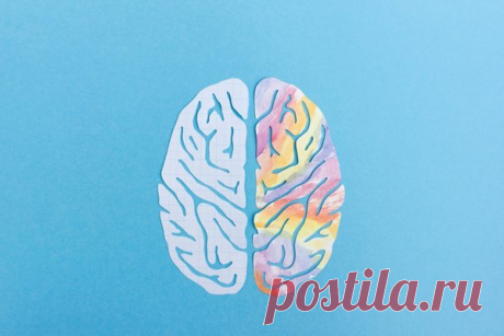 23 простых упражнения, которые натренируют ваш мозг и память | sobaka.ru | Яндекс Дзен