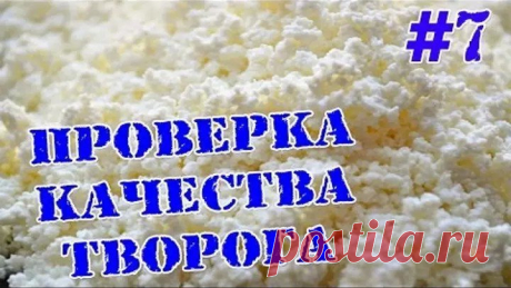 Проверка творога на примесь крахмала. Качество продуктов
