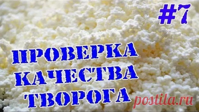 Проверка творога на примесь крахмала. Качество продуктов