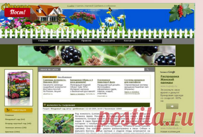 ФАЗЕНДА-ОНЛАЙН