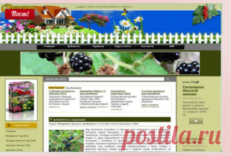 ФАЗЕНДА-ОНЛАЙН