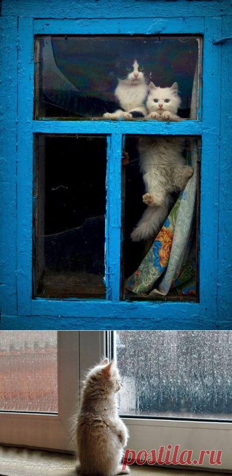 Главное, чтобы дома кто-то ждал