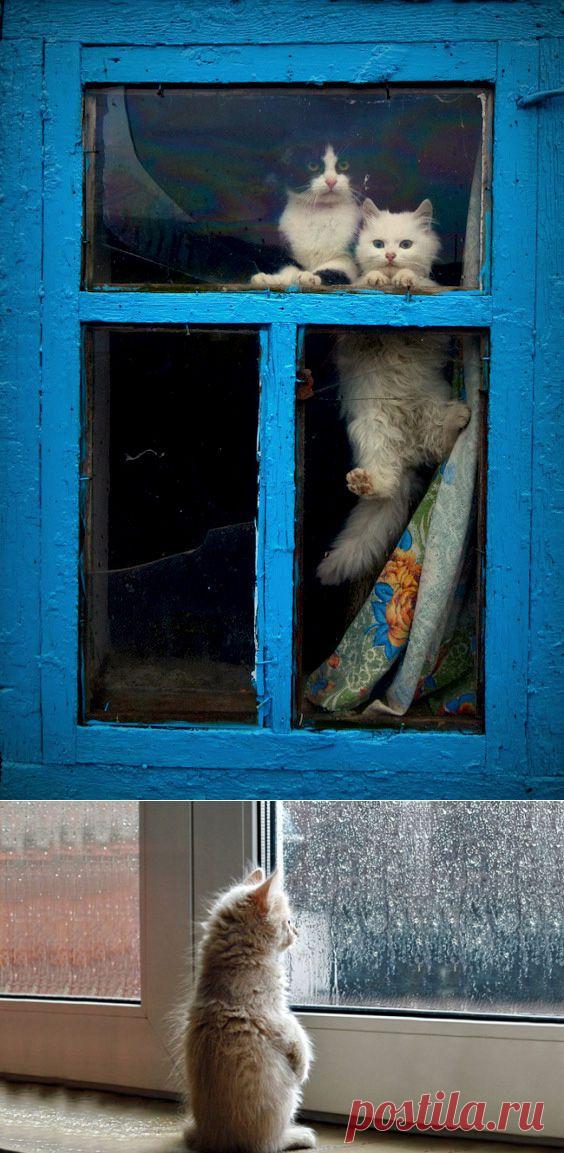 Главное, чтобы дома кто-то ждал