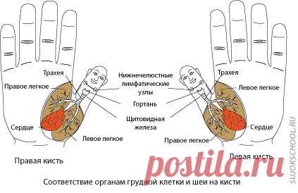ШКОЛА СУ ДЖОК | ВКонтакте