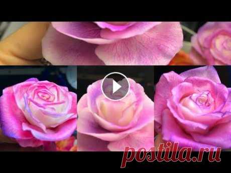 Нереально красивые розы из холодного фарфора / #мастер-класс#холодныйфарфор#грозный#чечня Нереально красивые розы из холодного фарфора / #мастер-класс#холодныйфарфор#грозный#чечня...