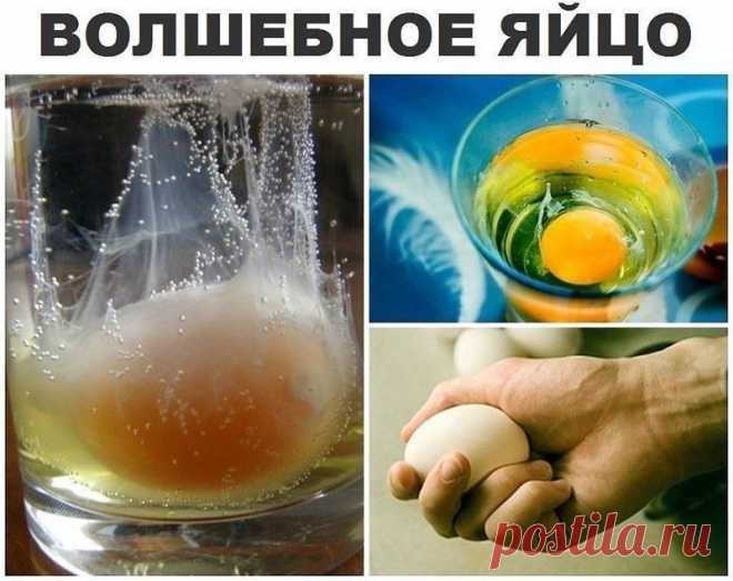 СНЯТИЕ НЕГАТИВА С ЧЕЛОВЕКА
и лечение несложных болезней сырым яйцом.  
 
Перед сном:  
В стакан, наполовину наполненный водой, вбить сырое яйцо (не размешивать). Над стаканом произнести: «все худое, все плохое пусть вытекает в этот стакан», поставить у изголовья на ночь. Утром смотрим на яйцо в стакане. Желток — это жизнь человека, а белок — это среда, окружающая его: могут быть пузырьки, нити, которые тянутся вверх, туман, колпак, либо вообще яйцо «взбито до пены.» Завист...