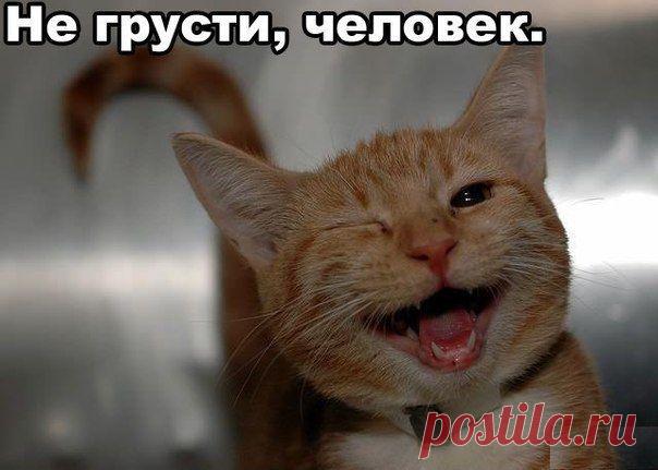 Идеи для дома