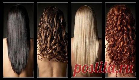 Каждый волосок состоит из 14-ти разных элементов, включая золото.

2. Предвкушение секса заставляет волосы быстрее расти.

3. Волосы человека можно использовать в качестве добавки в еду . L-Цистеин, который входит в состав волос, добавляют в тесто для выпечки хлеба и других хлебобулочных изделий.

4. Здоровые волосы в мокром состоянии способны растягиваться на 30 процентов от начальной длины.

5. Ежедневно мы теряем около 40-150 волос.