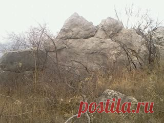 Юра Поляков
54 года, Россия, Каменск-Шахтинский