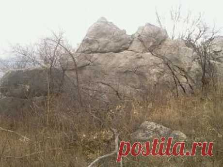 Юра Поляков
54 года, Россия, Каменск-Шахтинский