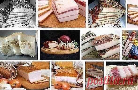 Мои закладки
