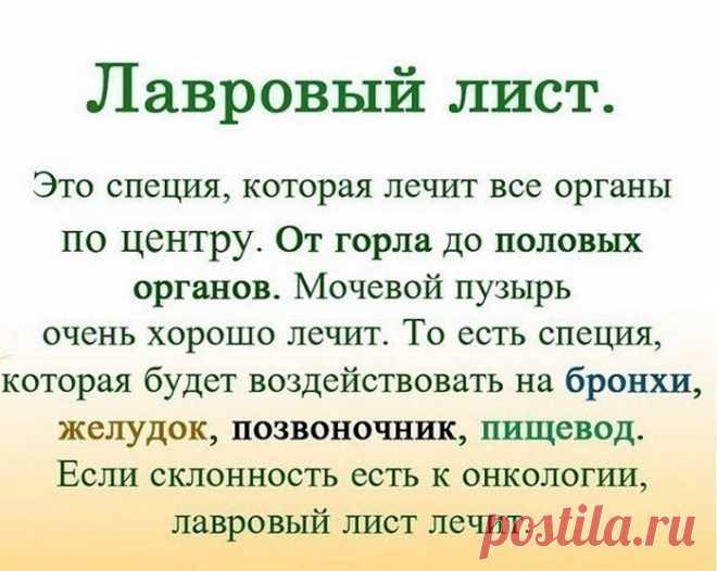 (46) Одноклассники