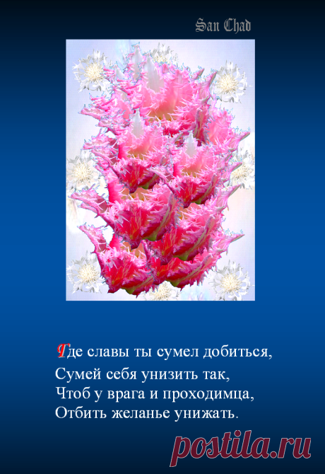 Сан Чад, San Chad * ПОЭТИЧЕСКИЕ УРОКИ МУДРОСТИ.