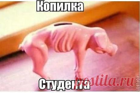 и больше ни чего