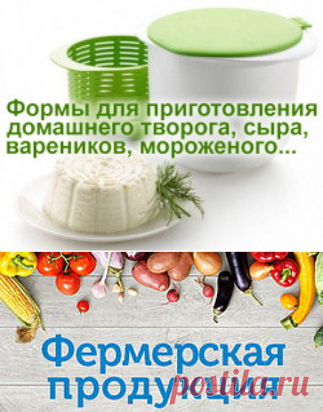 Как делать сыр дома - пепсин
