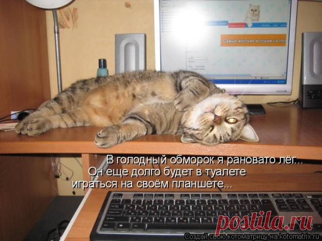Котоматрица: Круть