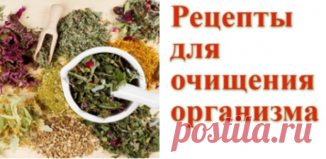 Рецепты для очищения организма | Советы целительницы
