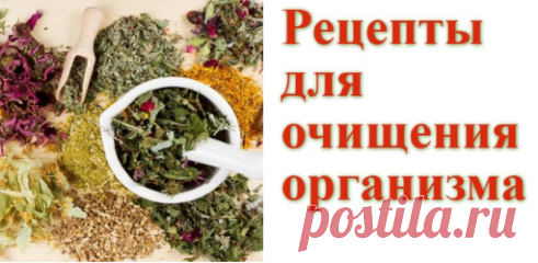 Рецепты для очищения организма | Советы целительницы