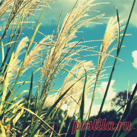 Фотопост: первый день лета | Selfhacker.ru