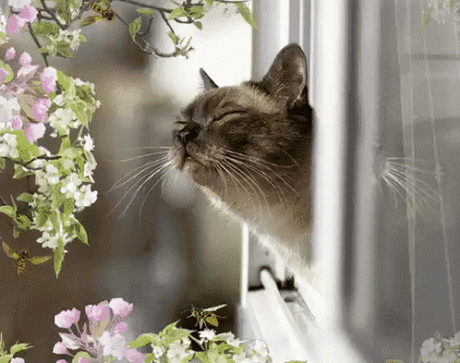 Таня Лукашева - Google+