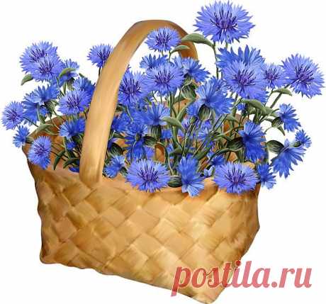 корзина