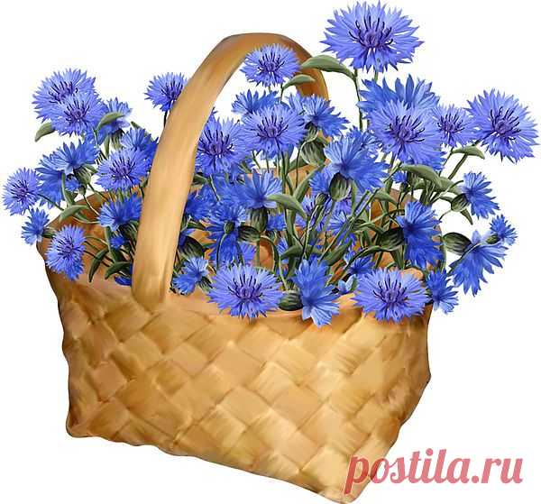 корзина