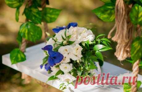 КАКОЙ СЕГОДНЯ ПРАЗДНИК? 29 Января 2016 г. – Пятница • День неспешного заплетания кос • День мобилизации против угрозы ядерной войны 31 год • День необязательств • День работников прокуратуры - Молдавия • Именины у Максима, Петра, Леониллы, Ивана