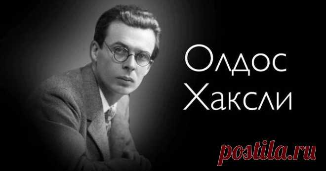 Умные мысли.