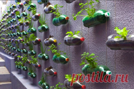 Я — то, что вокруг меня, или как обустроить дачу