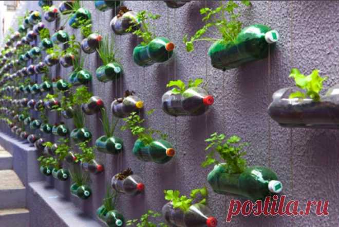 Я — то, что вокруг меня, или как обустроить дачу