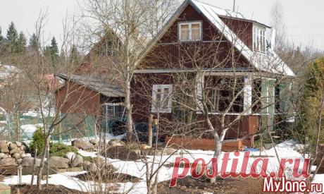 «Во саду ли, в огороде». Работа на даче ранней весной - Дача, весна, зимне-весенние работы в саду, обрезка деревьев, обработка деревьев весной