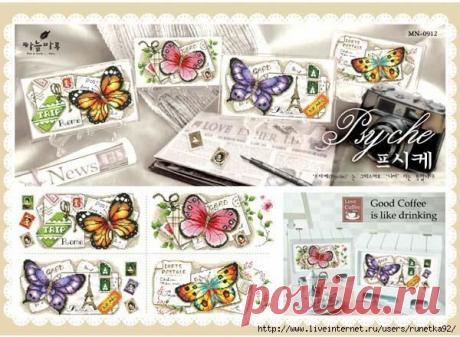 Коллекция бабочек.