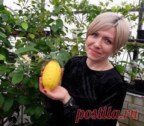 В гостях у Ольги