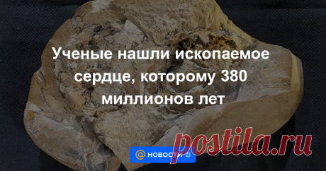 2022-Ученые нашли ископаемое сердце, которому 380 миллионов лет Его обладатель является наиболее полно сохранившимся из когда-либо найденных древних позвоночных.