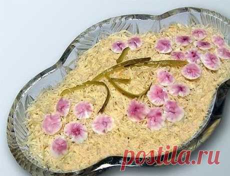 Нежный и легкий салатик "Ветка Сакуры"
Ингредиенты:
- 500 гр куриной грудки
- 1 банка ананасов кусочками (340 гр)
- 1 банка кукурузы
- 4 яйца
- 1 луковица
- 50 гр сыра
- майонез
- 2 зубчика чеснока (по желанию)
Приготовление:
1. Курицу и яйца сварите и остудите, начнем с украшений. Нужно нарезать цветочков, для этого маленьким ножичком, воткнутым в белок, мелкими шажочками проходите по спирали, чтобы получались такие ребристые «пуговки».
2. Оставшиеся яйца нарежьте. Курицу расщепите на волокна