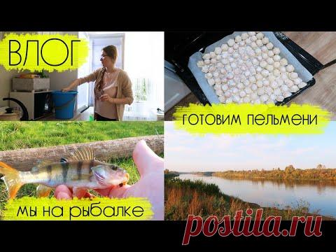 ВЛОГ Леши и Алины: готовим пельмени, приборка в холодильнике, мы на рыбалке