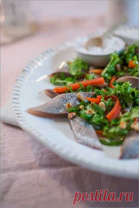 Маринованная сельдь с салатом и жареным перцем / Рыбные салаты / Кукорама — вкусные рецепты!