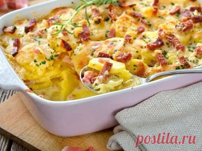 Картофельная запеканка с сосисками в духовке — Sloosh – кулинарные рецепты