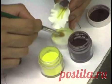 Making a Gumpaste Cymbidium Orchid by Petal Crafts
