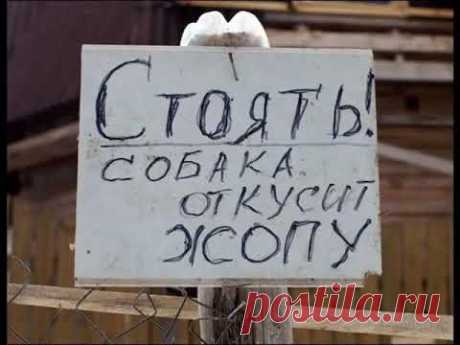 Смешные надписи, объявления и многое другое.