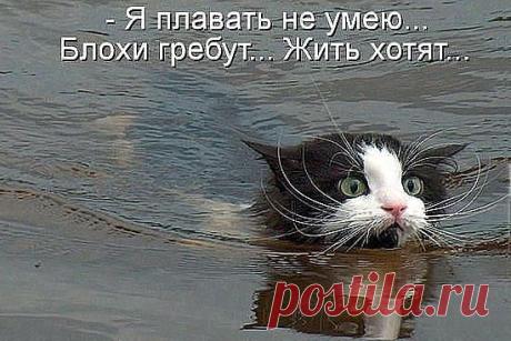 О чем молчат женщины